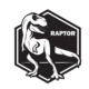 Raptor Global